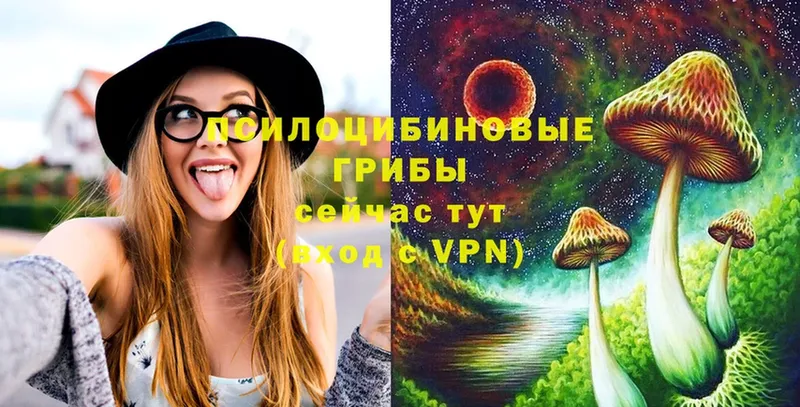 Псилоцибиновые грибы GOLDEN TEACHER  Павловск 